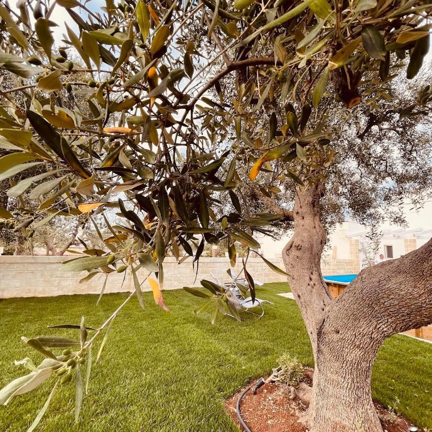 U Ceccenate Montalbano (Apulia) Exterior foto