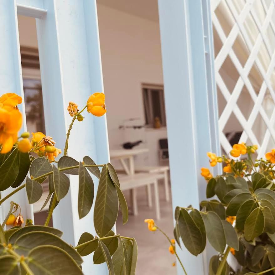 U Ceccenate Montalbano (Apulia) Exterior foto
