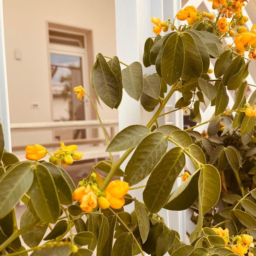 U Ceccenate Montalbano (Apulia) Exterior foto