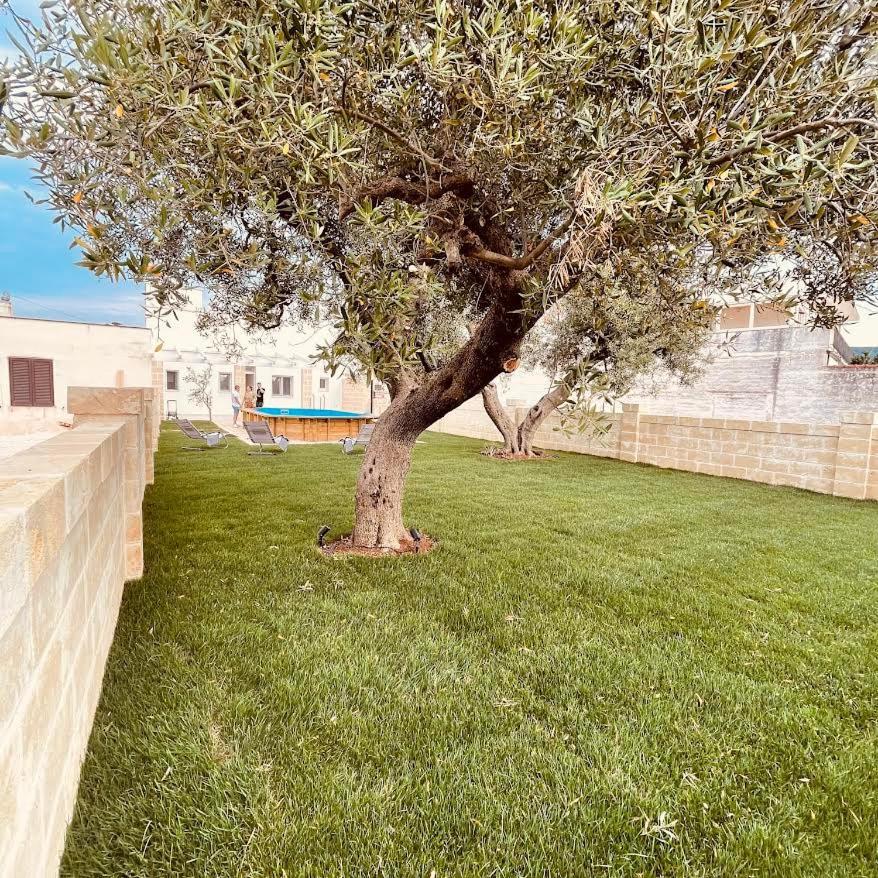 U Ceccenate Montalbano (Apulia) Exterior foto