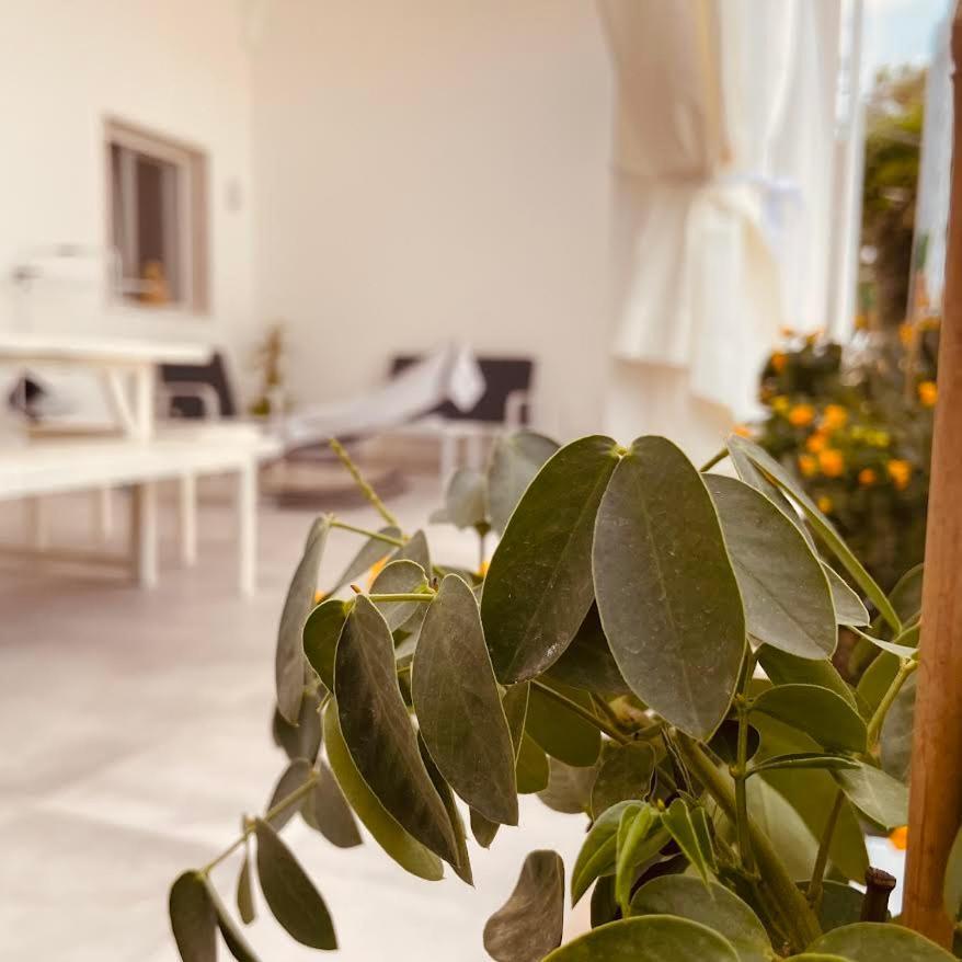 U Ceccenate Montalbano (Apulia) Exterior foto